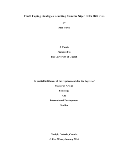 Youth Coping Strategies Resulting from the Niger Delta