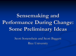 Sensemaking and Performance During Change