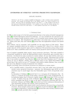 ENTROPIES OF STRICTLY CONVEX PROJECTIVE