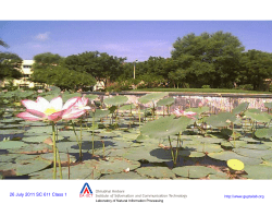 SC 105 Calculus Fall 2010