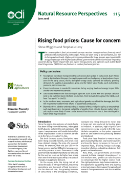 Rising food prices: Cause for concern