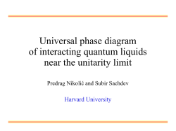 Universal phase diagram of interacting quantum liquids near the