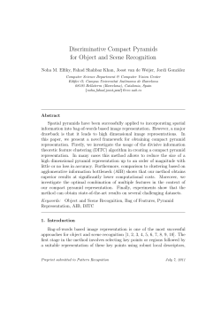 Discriminative Compact Pyramids for Object and Scene