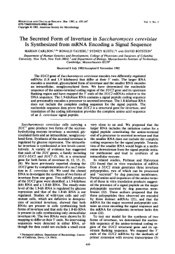 The Secreted Form of Invertase in Saccharomyces cerevisiae Is