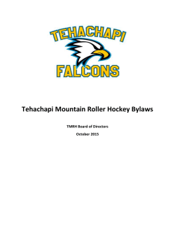 TMRH Club By-Laws - Tehachapi Mountain Roller Hockey