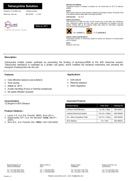 Tetracycline Solution