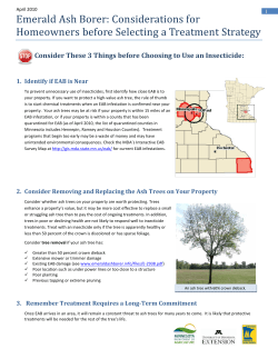 Considerations for Homeowners before Selecting a Treatment