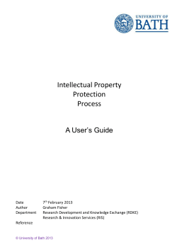 Intellectual Property Protection Process