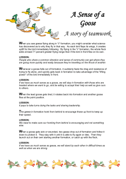 A Sense of a Goose &ndash; A Story of Teamwork