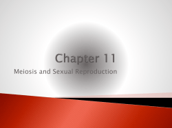 Chapter 11