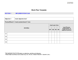 draft workplan template
