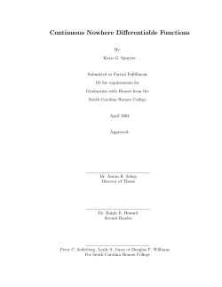 Continuous Nowhere Differentiable Functions