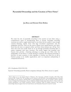 Pyramidal Business Groups and the Financing of New Projects