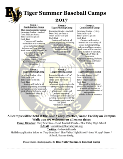 Tiger Summer Baseball Camps 2017