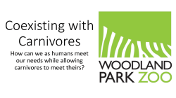 Coexisting with Carnivores