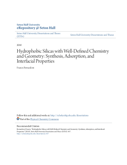 Hydrophobic Silicas with Well-Defined Chemistry and Geometry