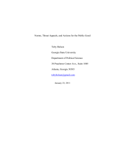 Norms, Rhetoric, and Actions for the Public Good