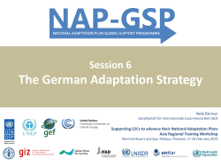 Implementing the German Adaptation Strategy