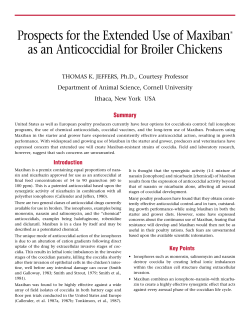 Prospects for the Extended Use of MaxibanT as an