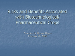 Economic Cost Associated with Pollen Flow From Transgenic Crops