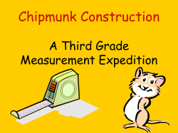 Chipmunk Construction