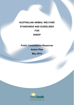 Final sheep Public Consultation Response Action Plan