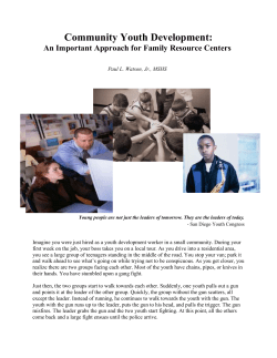 Community Youth Development: