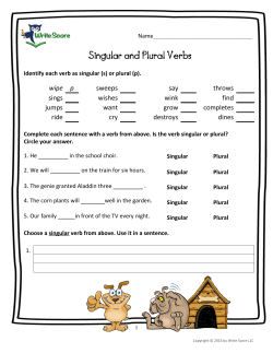 Singular and Plural Verbs
