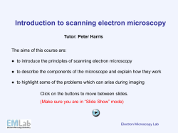 SEM Theory