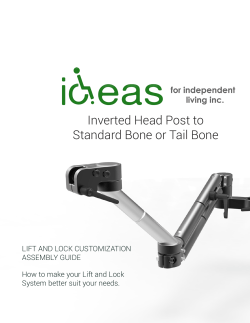 Inverted Head Post to Standard Bone or Tail Bone