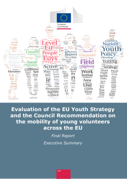 Evaluation of the EU Youth Strategy and the Council Recommendation