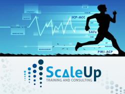 Portfolio - Scaleup Consultants