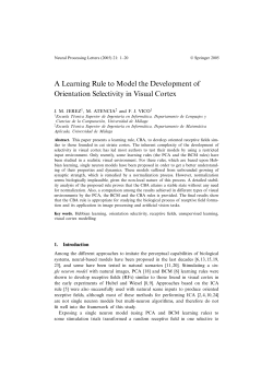 A Learning Rule to Model the Development of Orientation Selectivity
