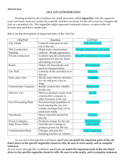 Answer key: CELL CITY INTRODUCTION! Floating around in the