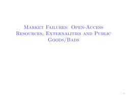 Open-Access Resources, Externalities and Public