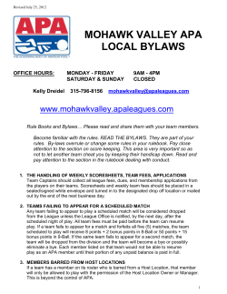 local by laws for the american pool league