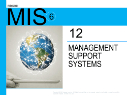 12. Management Support Systems.