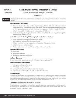 striking with long implements (bats) focus