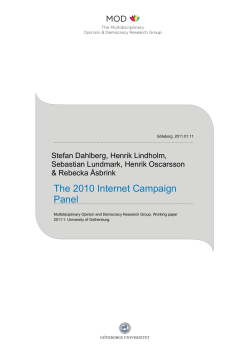 The 2010 Internet Campaign panel