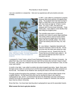 Pine Decline in South Carolina I am not a scientist or a researcher