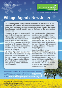 VA_winter flyer_2011 - Village Agents