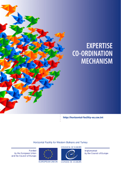 expertise co-ordination mechanism - Coe