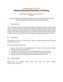 Biomechanics of Movement