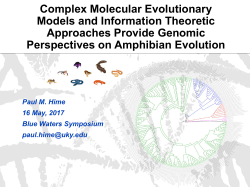 Complex Molecular Evolutionary Models and Information Theoretic