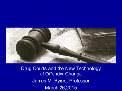 The Implementation and Impact of Drug Courts (2)