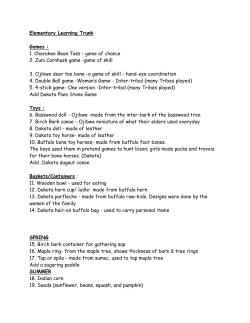 Elementary Learning Trunk Games : 1. Cherokee Bean Toss