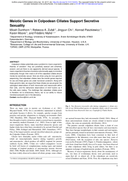 Meiotic Genes In Colpodean Ciliates Support Secretive