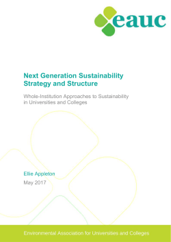 Next Generation Sustainability Strategy and Structure