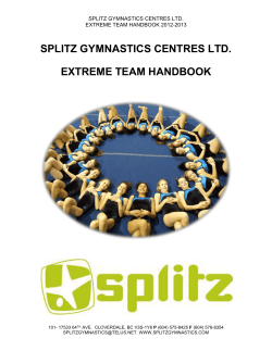 extreme team handbook
