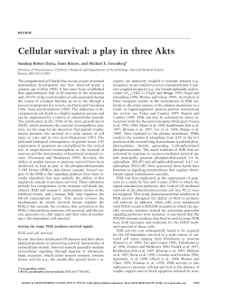 Cellular survival: a play in three Akts